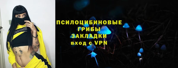 PSILOCYBIN Белокуриха