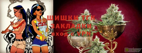 PSILOCYBIN Белокуриха