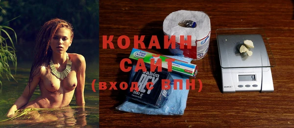 PSILOCYBIN Белокуриха