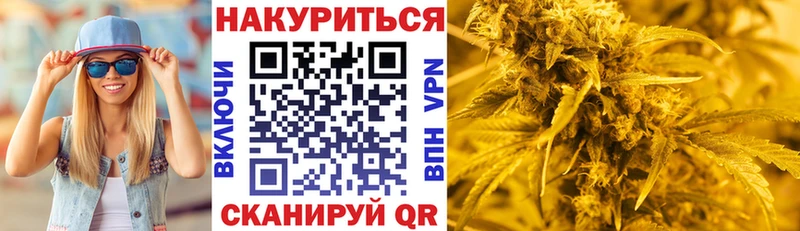 Канабис гибрид Пойковский